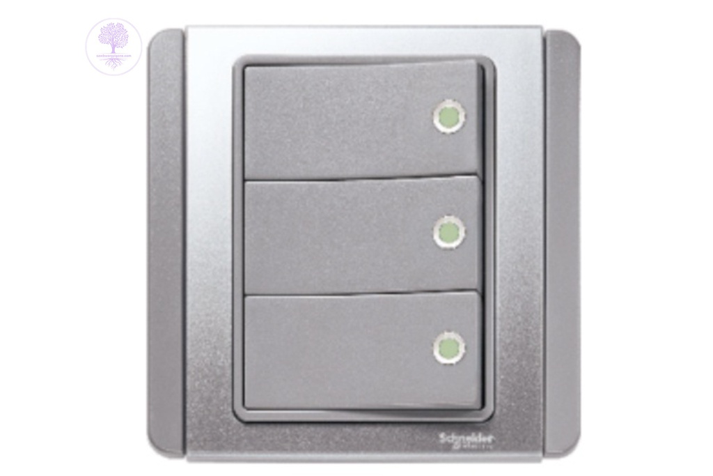 3Gang, 2way, Schneider Horizontal Dolly Switch with Green Fluorescent Indicator