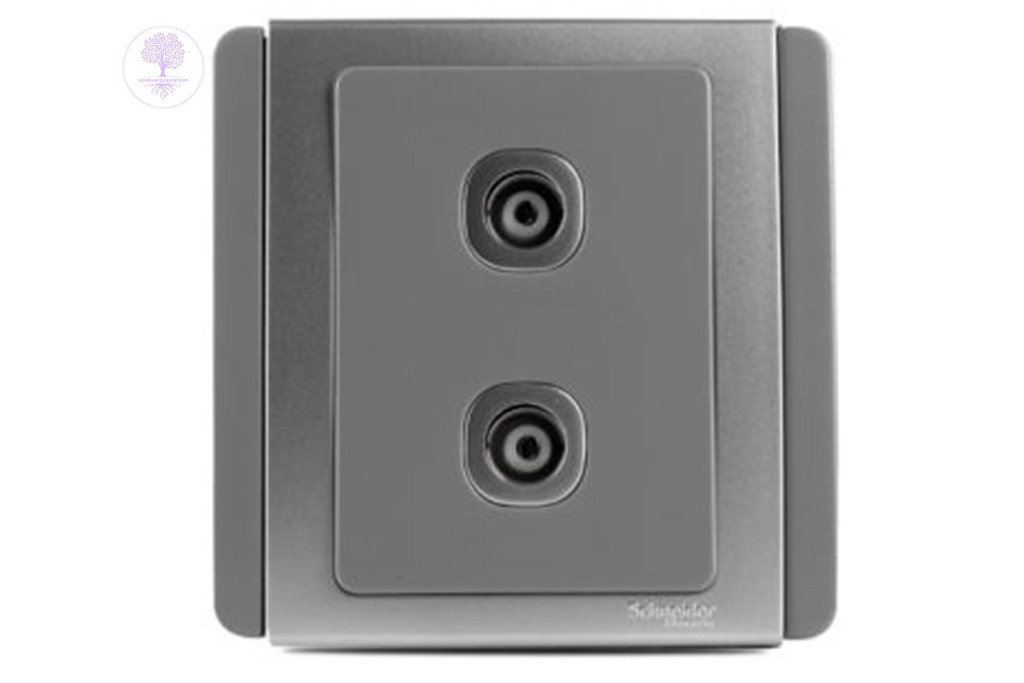  Twin Gang, 75OHM Schneider TV Socket