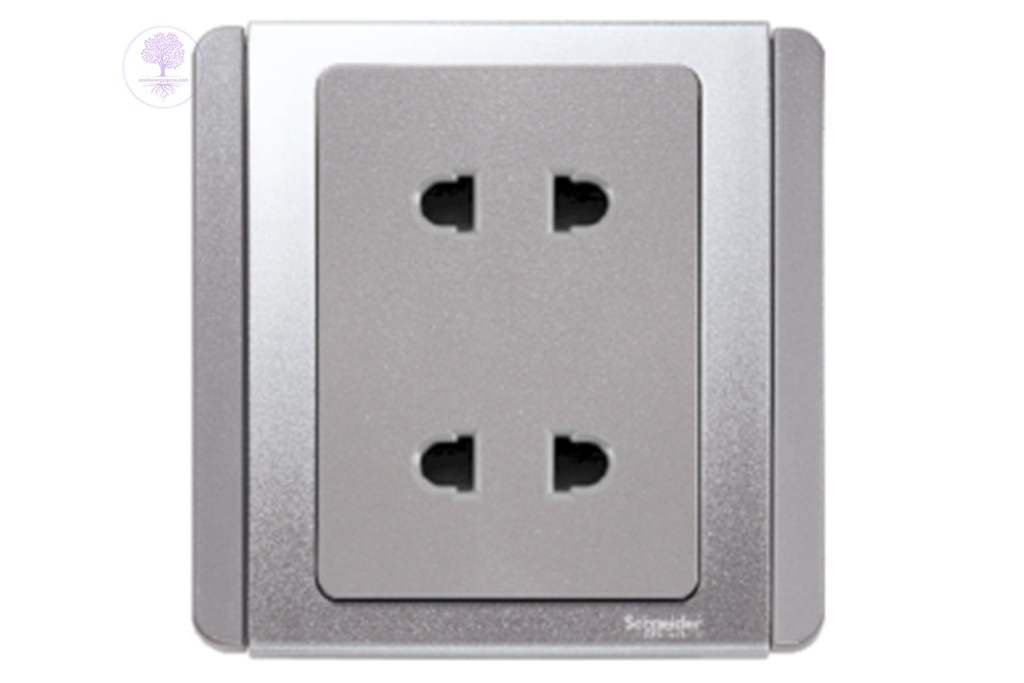 Twin Gang, 2PIN, 10A, 250V, Schneider Universal Socket