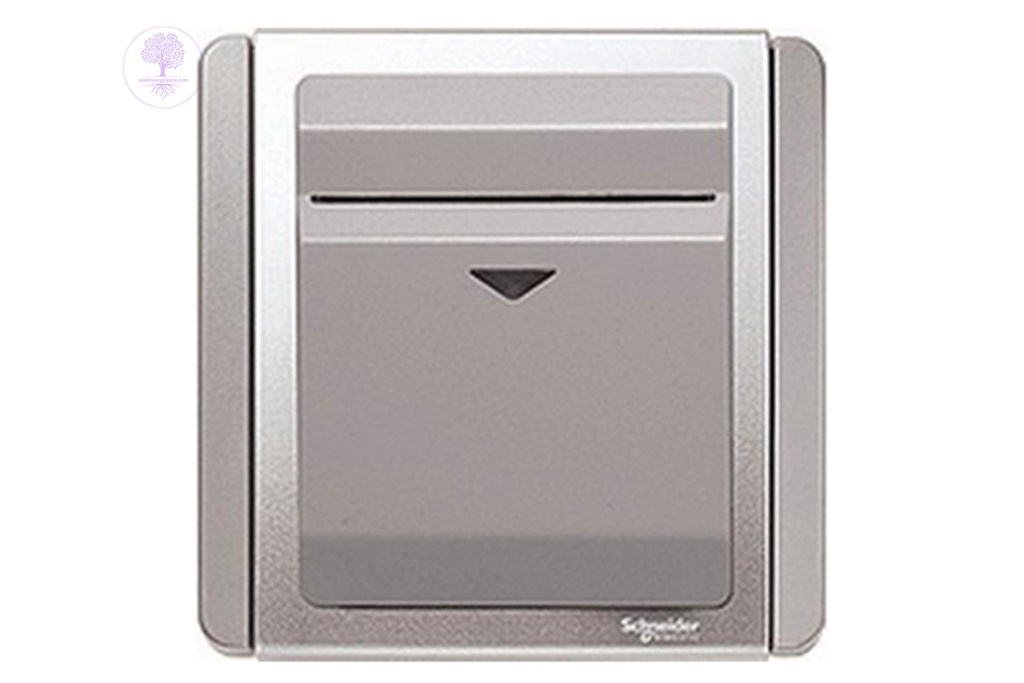 Schneider Electronic Key Card Switch with Indicator