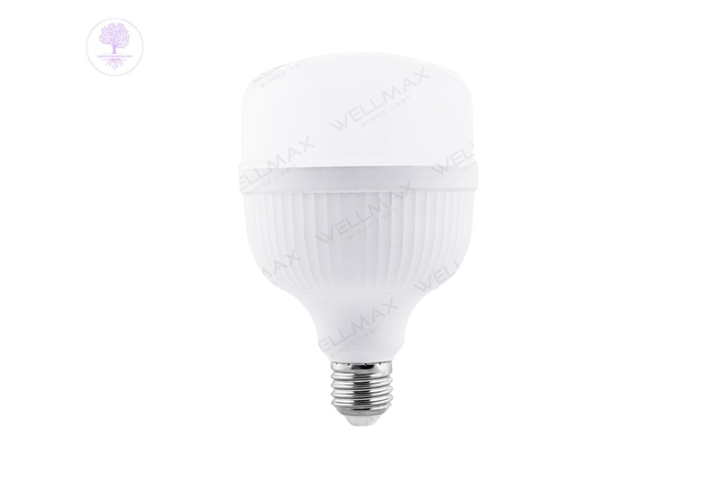 50W WELLMAX Ballet Series LED T Bulb E27/B27