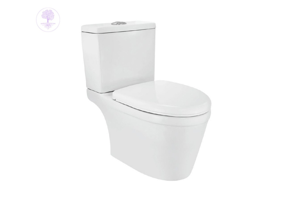 CNS-WHT-757SS CNS-WHT-209 Jaquar Close Coupled WC Toilet