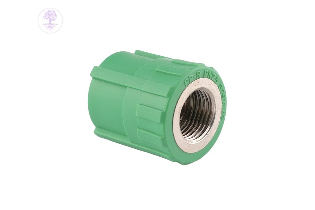 D 20 * 1/2 AUTHENTIC Female Threaded Coupling