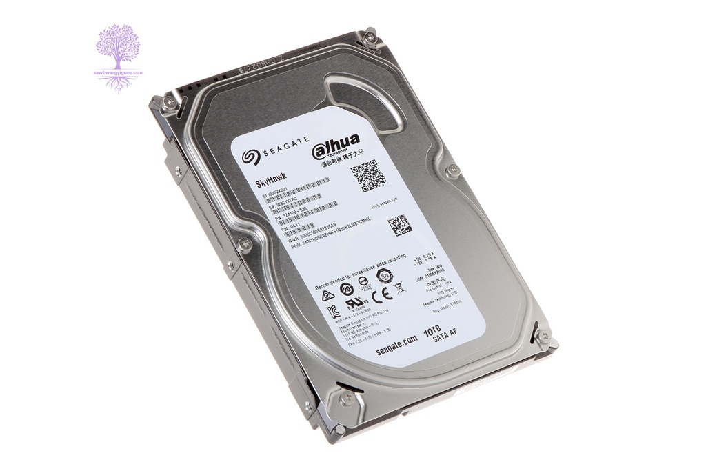 Dahua, CCTV Surveillance Hard Disk (10TB, Seagate)