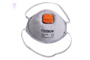 10pcs FFP2 HOTECHE Dust Mask With Valve 