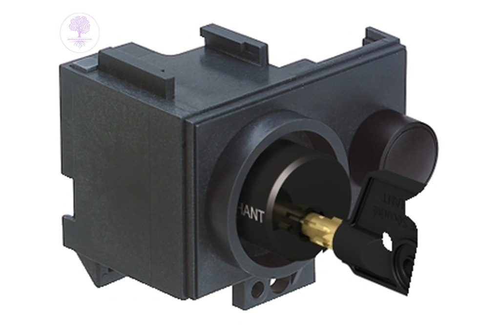 PROFALUX OFF POSITION LOCKING 1 KEYLOCK, Schneider