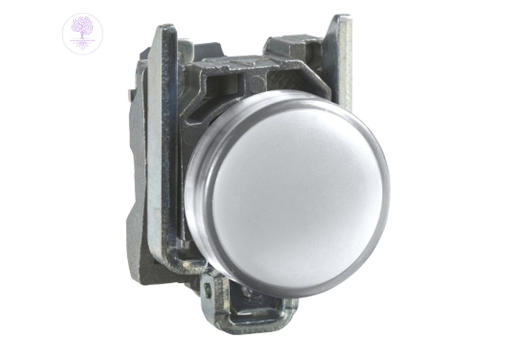 Pilot Light White  ( Metal ), Schneider