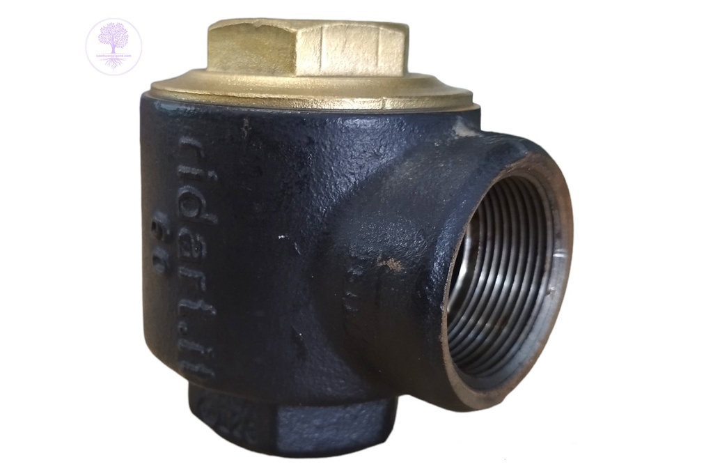 1-1/2"-Angle Check Valve-60GH Ridart 89900