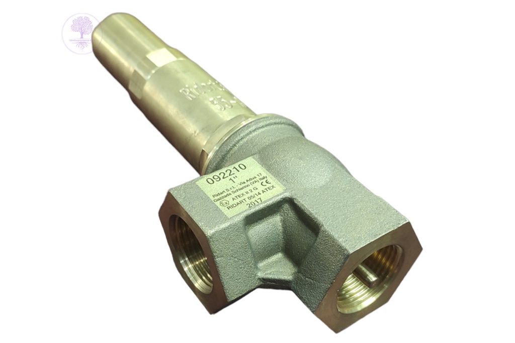 1"-Adjustable Angle Check Valve Ridart 92210-1"