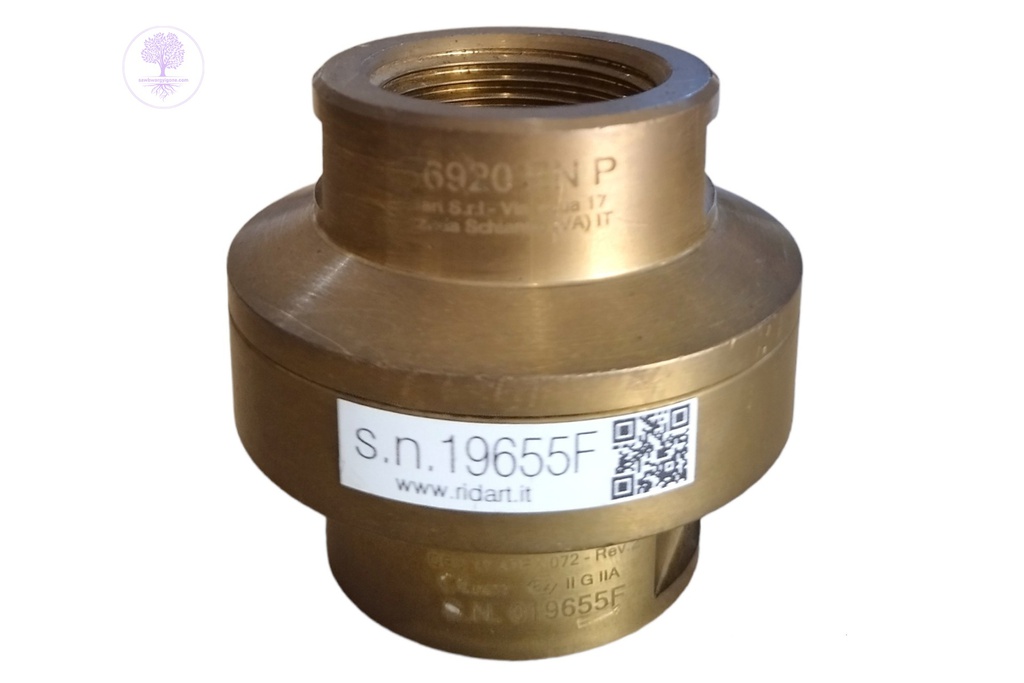 1"-Flame Arrester Ridart 086920EN-1"