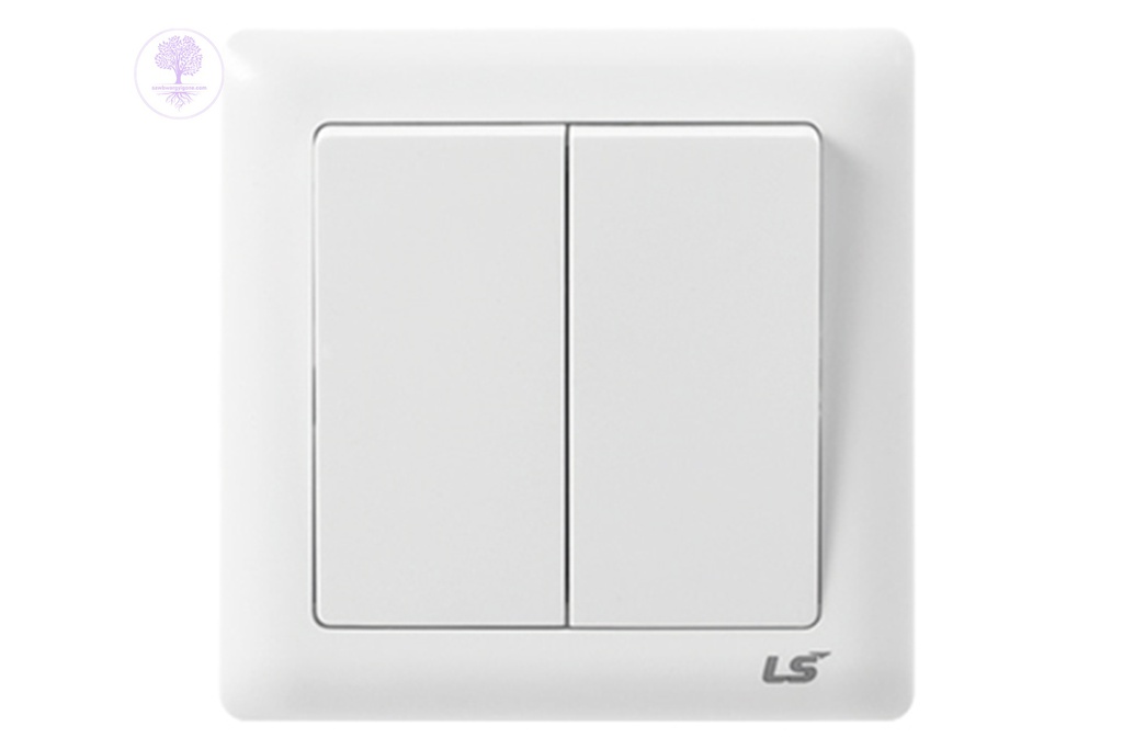 2 Gang 2 Way Socket, LS IS