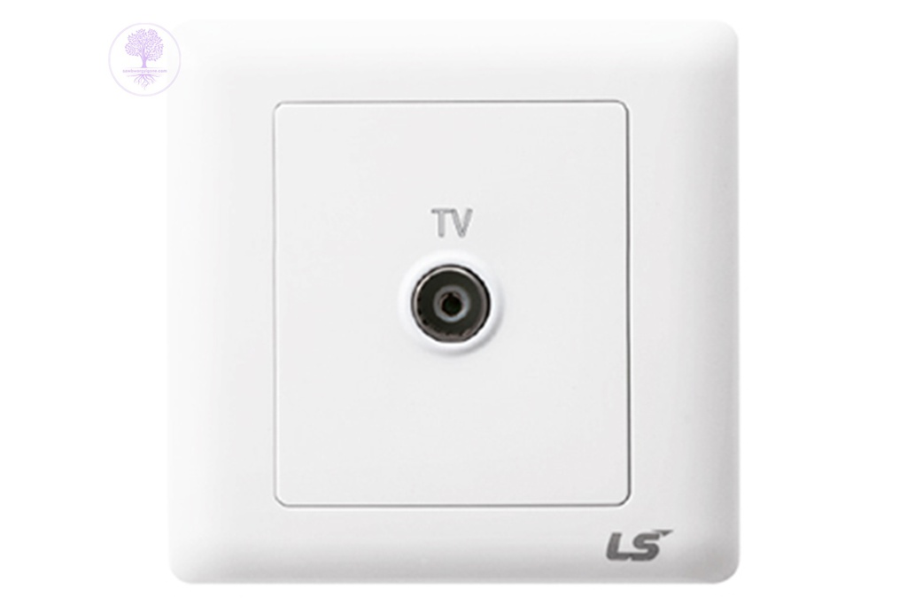 1 Gang TV Socket, LS IS