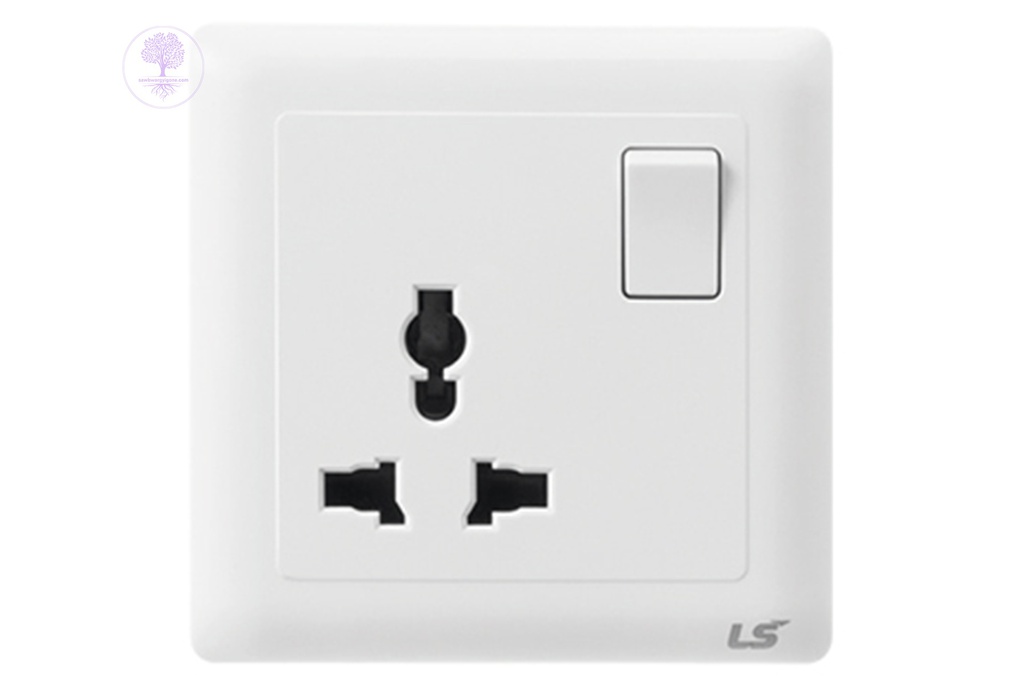 1 Gang Multi Socket with Switch, LS IS