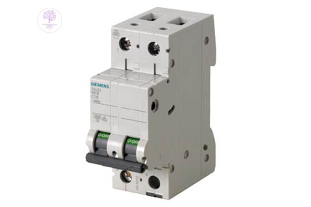 6A, 2P,  SIEMENS MCB 5SL6 Serie