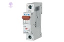 [PLS6-C40/1-DC] 1 Pole, 40A, PLS6-DC_C EATON, MCB