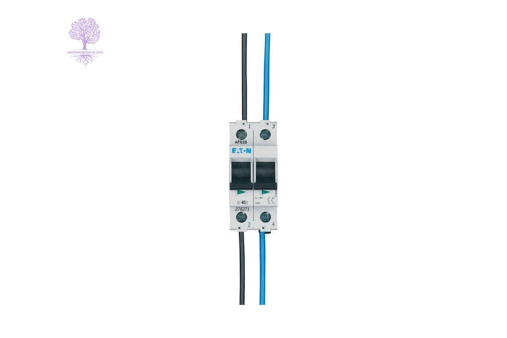 2 Pole, 40A, IS EATON, Disconnector