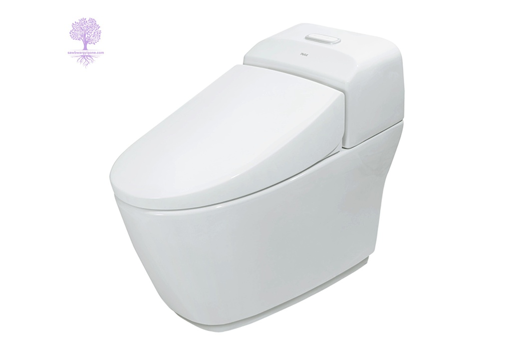 W-372 x D-809 x H-605mm, INAX, One Piece Toilet (S Trap)