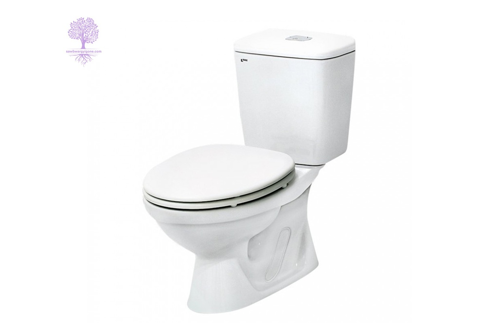 W-370 xD-696 x H-770mm, INAX, Two Piece Toilet (S Trap)