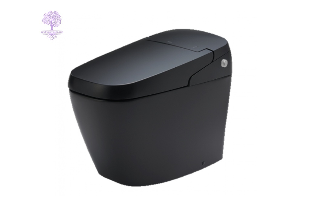 W-540 xD-705 x H-375mm, INAX, Smart Toilet/Black