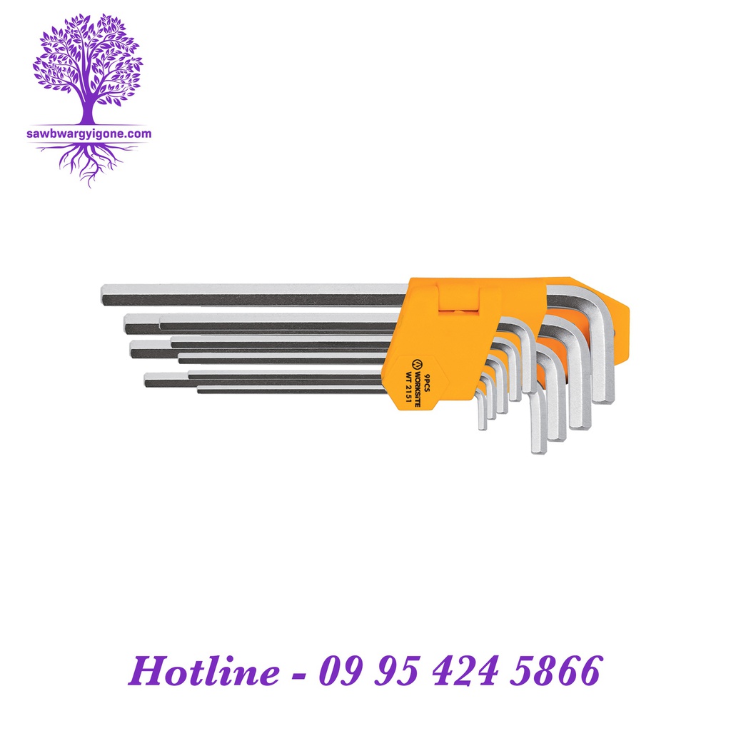 9Pcs, WORKSiTE, Hex Wrench Set