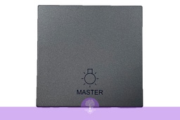 [Legrand_573784] 2M, 2Way, MASTER SWITCH FOR LIGHT SQM Magnesium 