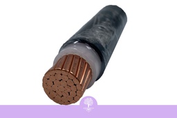 [BCC-C6CV06010240] 1C x 240mm^2 BCC-0.6-1kV CV  (Cu/XPLE/PVC)