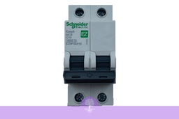 [EZ9F56210] 2P, 10A, 6kA, Easy9, C Curve, Schneider MCB Breaker