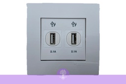 [KB32USB_WE] 2 x 2.1A, USB Charger Socket Wall Mounted, Schneider, Vivace Series 