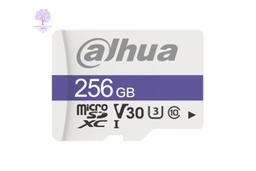 [DHI-TF-C100/256GB] 256GB, Dahua, C100 MicroSD Memory Card