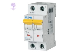 [PLS6-B25/2] 2 Pole, 25A, PLS6_B EATON, MCB