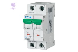 [PLS6-C6/2] 2 Pole, 6A, PLS6_C EATON, MCB