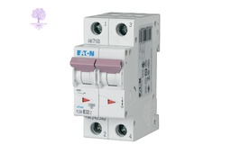 [PLSM-C32/2] 2 Pole, 32A, PLSM_C EATON, MCB