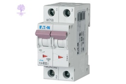 [PLSM-D32/2] 2 Pole, 32A, PLSM_D EATON, MCB