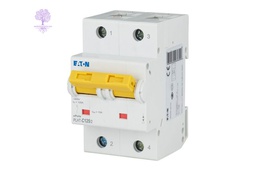 [PLHT-C125/2] 2 Pole, 125A, PLHT_C EATON, MCB