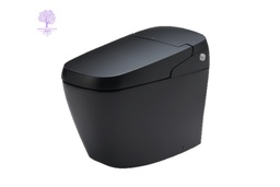 [AC-G216VN/BKG] W-540 xD-705 x H-375mm, INAX, Smart Toilet/Black